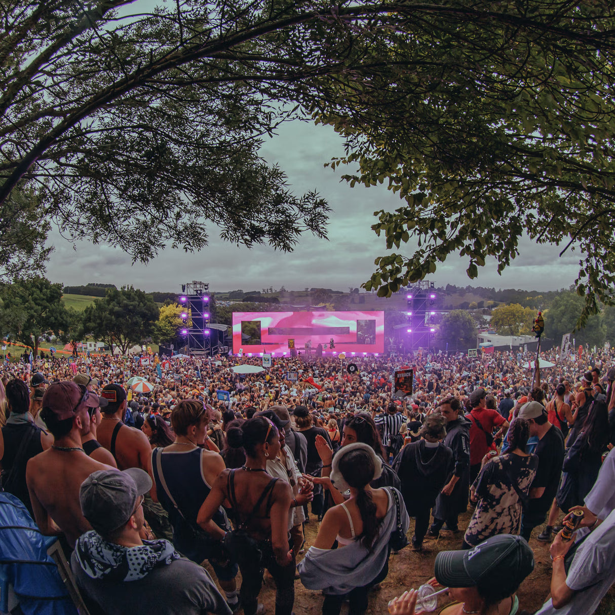 A3 2025 -Volunteer Application Deposit: Secure Your Spot