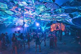 Anti Gravity - Volunteer Application Deposit: Secure Your Spot