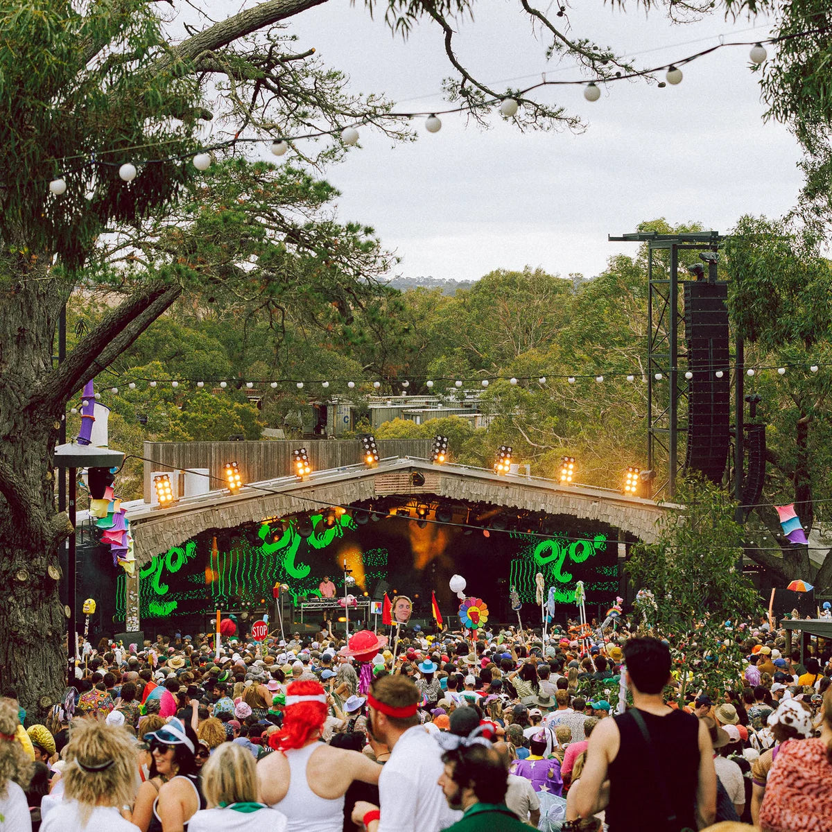 Meredith 2025 Volunteer Application Deposit: Secure Your Spot