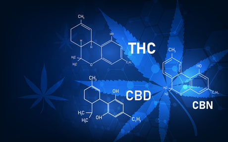 Can I drive on Medical Marijuana?