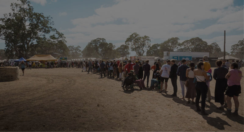 Being Responsible On The Roads This Festival season | The Safe Festival Drug Tests