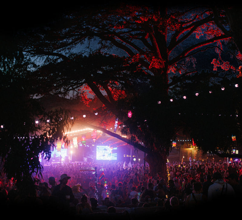 Golden Plains 2025 - Volunteer Application Deposit: Secure Your Spot