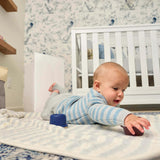 Compact Air Purifier + Filter Replacement Bundle