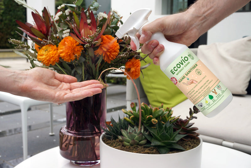 Ecodev Hand Sanitiser - Natural Formula