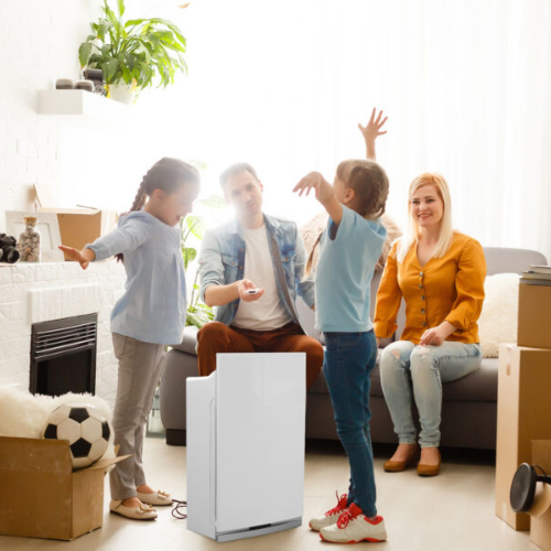 Intellipure Compact Air Purifier